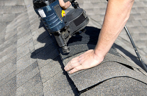 Best Roof Moss and Algae Removal  in Ovilla, TX